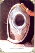 Hajj E Aswad